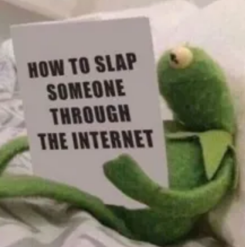 kermitslapthruinternet Discord sticker