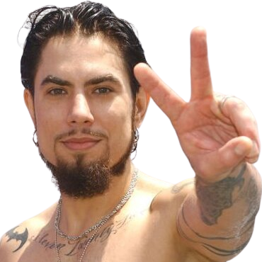 dave navarro hello bye