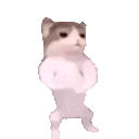 catpls Discord sticker