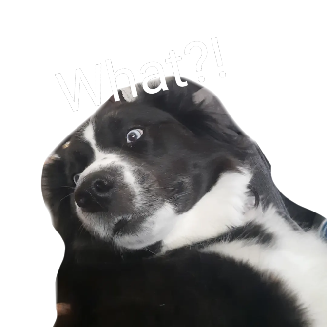 wut? Discord sticker