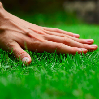 touch grass Discord sticker