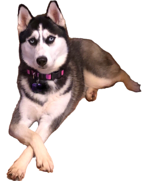 chillin Discord sticker