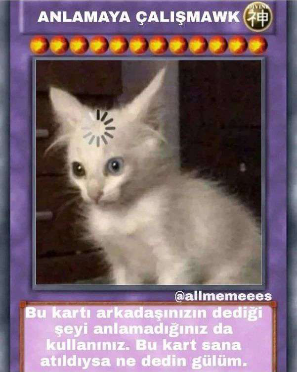 anlamaya çalışmak Discord sticker