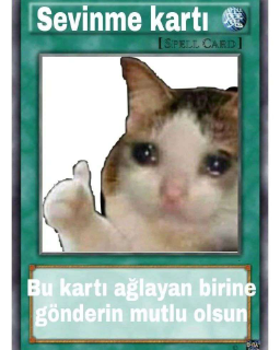 sevinme kartı Discord sticker