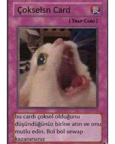 çokselsn Discord sticker