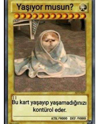 yaşıyor musun? Discord sticker