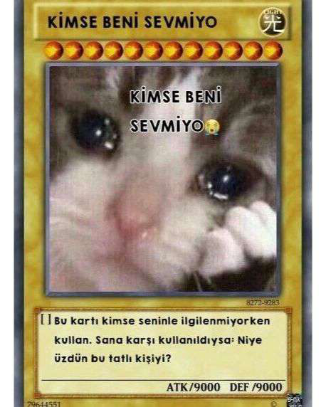 kimse beni sevmiyo Discord sticker