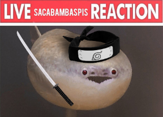 SASUKEBAMBASPIS Discord sticker
