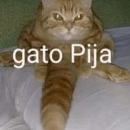 gato pija /world