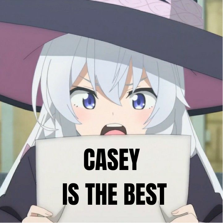 Casey best Discord sticker