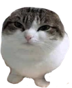 look | gg/kirei Discord sticker
