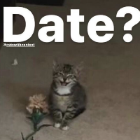 Wanna Date? Discord sticker