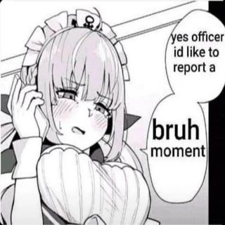 Bruh Moment Discord sticker