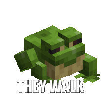 they walk