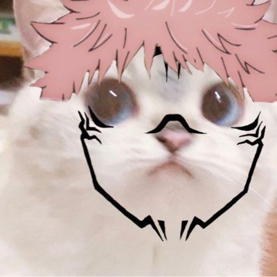 Disappointed Sukuna Cat Discord sticker