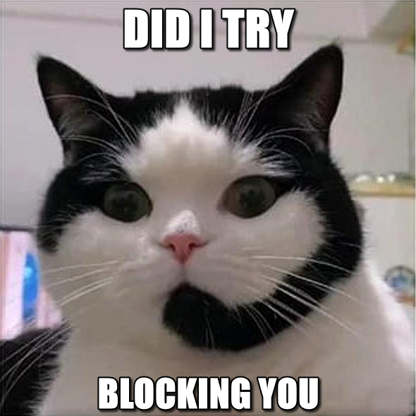 Did i try blocking you? Discord sticker