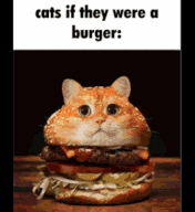 cat burger  gg/sillycats