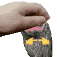 PetThePugi Discord sticker