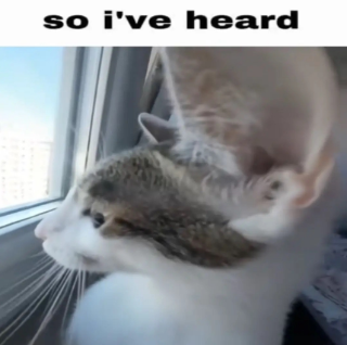 soiveheard | .gg/thebsmnt