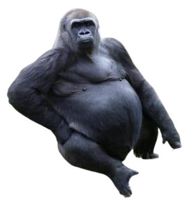 Gorilla gorilla gorilla