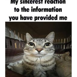 MyReaction Discord sticker
