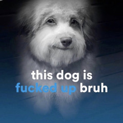 this dog is frigged up bruh