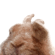 rabbitvibe Discord sticker