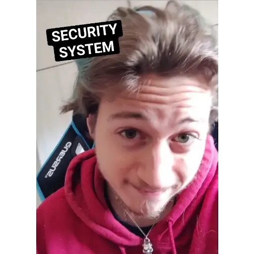 security system