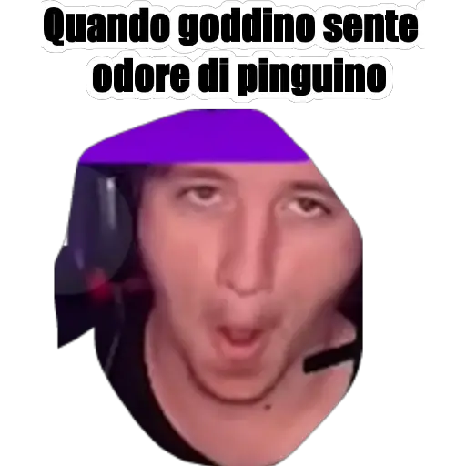pinguino puzza