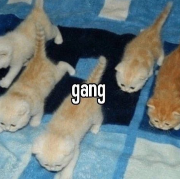 gang Discord sticker
