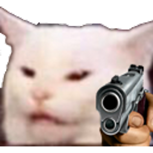 CatAngry