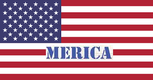 Merica Flag Discord sticker