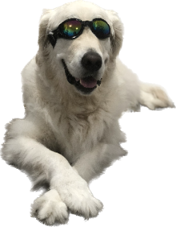Hey Dog Discord sticker