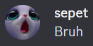 Bruh Sepo Discord sticker