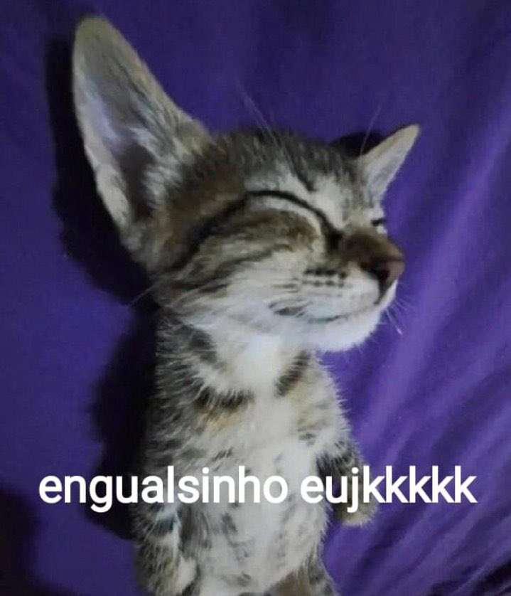 engualzinho Discord sticker