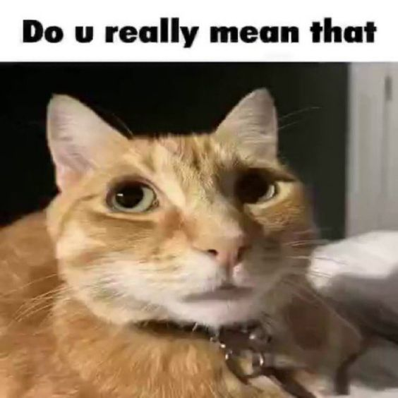 Do u really mean that