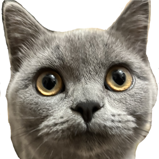 RD_Naluface Discord sticker