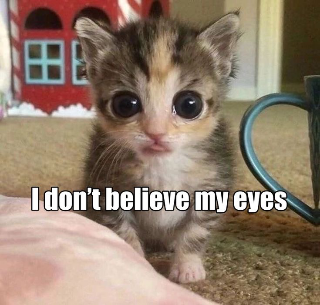 CatEyes Discord sticker