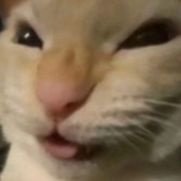 Aggressive Cat Blep Discord sticker
