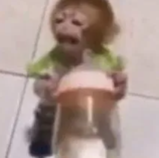monkey cry Discord sticker