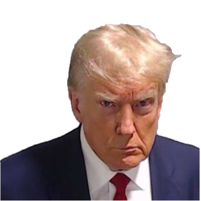 Donald Discord sticker