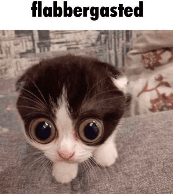 flabbergasted Discord sticker