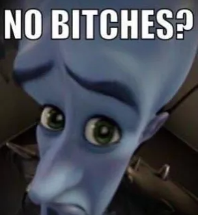 no bitches?