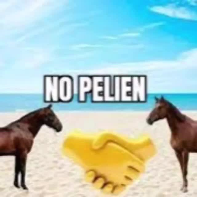 no pelien  | .gg/programacion Discord sticker