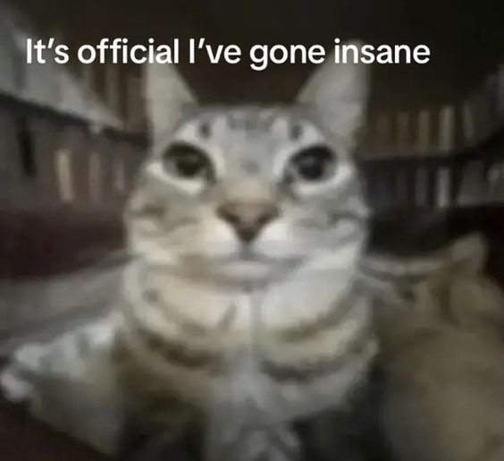 It's official I've gone insane