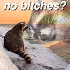 no bitches? Discord sticker