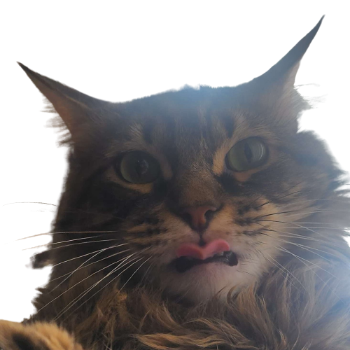 TS_Blep Discord sticker