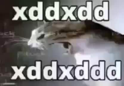 xddxdd Discord sticker