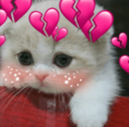 catty blush Discord sticker