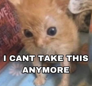 I CANT TAKE THIS ANYMORE